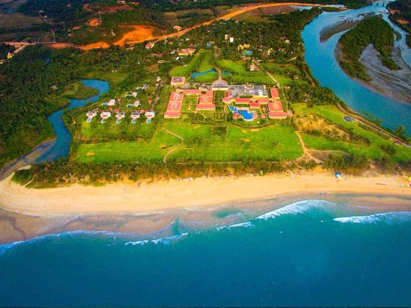 https://www.thelalit.com/wp-content/uploads/2024/01/goa-.jpg